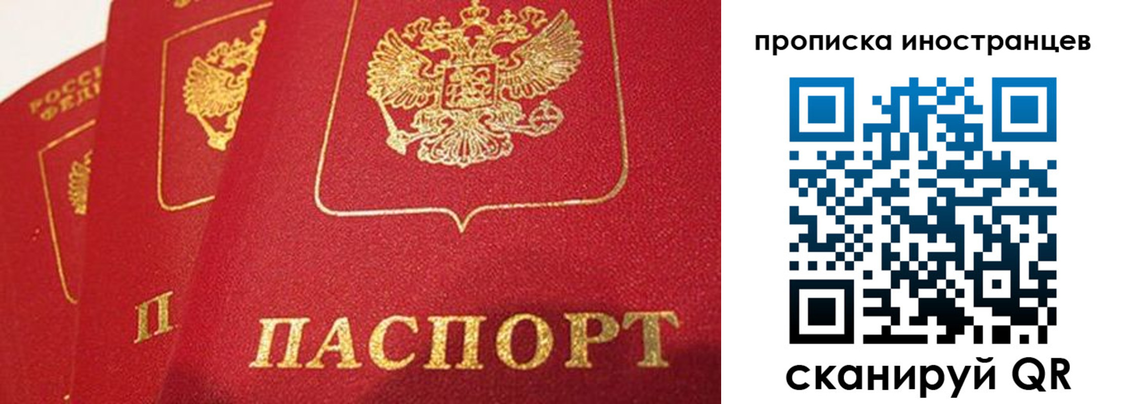 прописка поиск в Реже